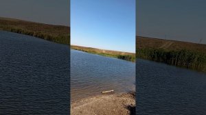 видео начало пруда ветельного дамба щука карась и окунь   маленький обзор  пруда  ветельного