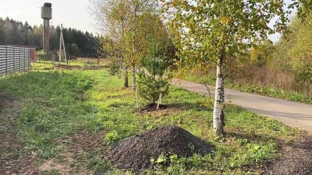 Влог с дачи ❗❗❗😍 смотреть онлайн