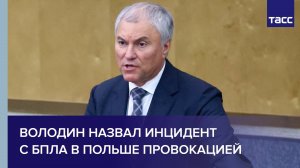 Володин назвал инцидент с БПЛА в Польше провокацией