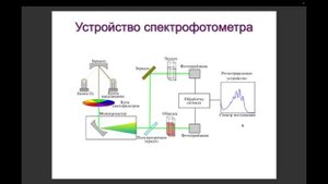 Наталья Лобова: Фотофизика и фотохимия супрамолекулярных систем