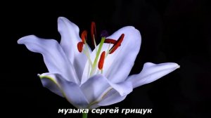 Музыка Для Души ,,БЕЛЫМИ НОЧАМИ,,  Музыка Сергей Грищук