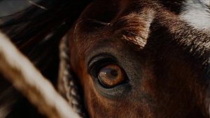 Воля вольная..