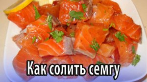 Как научиться дома солить семгу