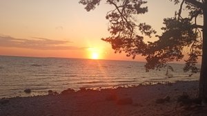 На каких сайтах находятся шарлатаны по магии, и кидают клиентов на день