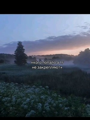 всем привет