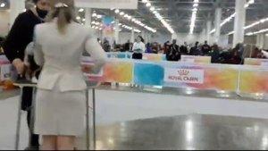 01.05.2021, Москва. Евразия-2021-1. Ринг ШЕЛТИ