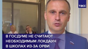 В Госдуме не считают необходимым локдаун в школах из-за ОРВИ