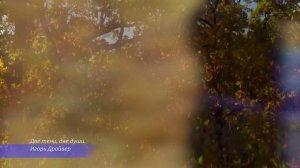 Две тени, две души