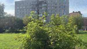 г. Воскресенск, мкр. Фетровой фабрики, ул. Быковского