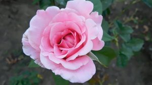 05=09=2025  Ю   КМР  (23)