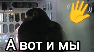 16-09-2025. А вот и мы!