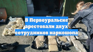 В Первоуральске арестовали двух сотрудников наркошопа