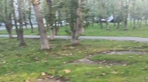 Сквер Тополиный