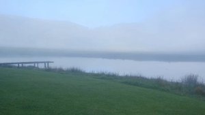 Очень красивое чтение Корана عبدالله الموسي