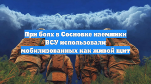 При боях в Сосновке наемники ВСУ использовали мобилизованных как живой щит