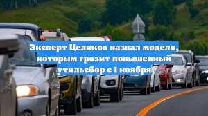 Эксперт Целиков назвал модели, которым грозит повышенный утильсбор с 1 ноября