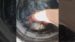 чудеса каждый день. тудивительная сила жизни