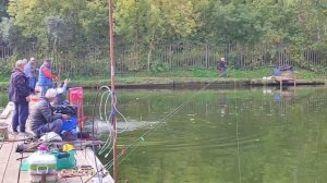 Новый понтон