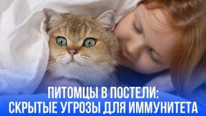 Сон с питомцем: скрытые риски для здоровья, о которых врачи предупреждают лишь немногих