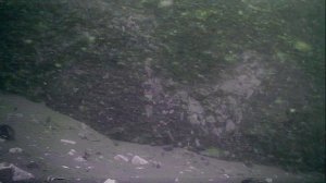 1000001241.mp4Волга гл.5м.16.09.2025г.