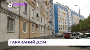 Каждую ночь жители дома во Владивостоке попадают в настоящий фильм ужасов с тараканами