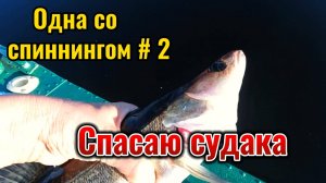 Выбралась на рыбалку со спиннингом. Очередная удачная рыбалка.