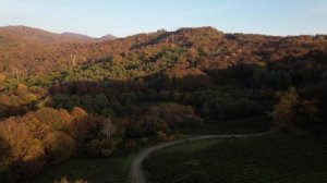 Чайные плантации Мацеста