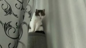 Ну что, взял высоту? а как спускаться? ай белив, ай кэн флай!