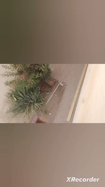 Просто сложная крыша