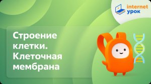 Строение клетки. Клеточная мембрана. Видеоурок по биологии 10 класс