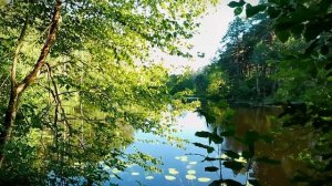 Река "Глуховка"