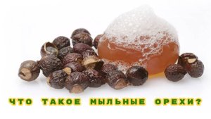 Что такое мыльные орехи