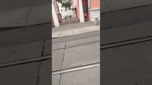 Поездки в общественном транспорте | 16-сен-2025