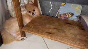 Доброго всем вечера и чудесных снов.