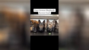 Best video of Tik Tok! 16.09.25 / 10