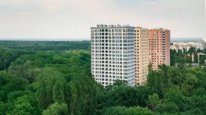 Гармония и баланс во всем