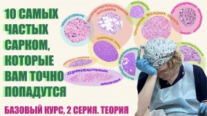 10 САМЫХ ЧАСТЫХ САРКОМ // Базовый курс // Теория 2 серия