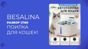 РАЗБОР КАРТОЧКИ ОЗОН 1/100 ПОИЛКА ДЛЯ КОШЕК