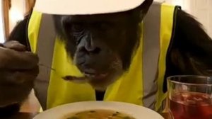 Жорик устроился на завод)