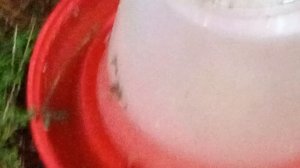 @Светлана и Игорь из Сибири