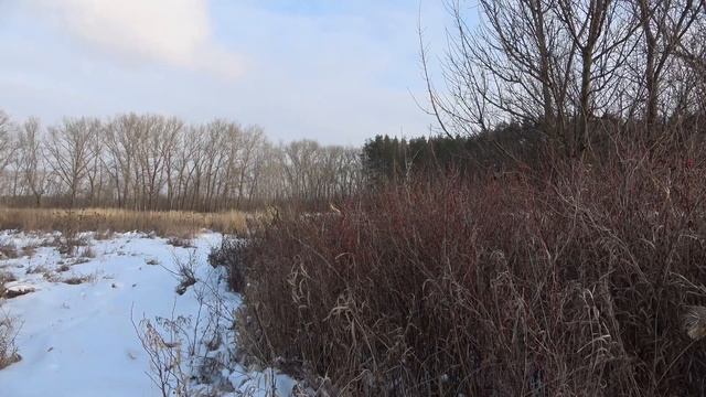 Эдгар Туниянц. Прикосновение к родному.  Музыка для души. Edgar Tuneyants. Touching the native