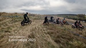 Fast Forest 2025 (серебро)