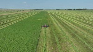 ЗАО племзавод "ИРМЕНЬ" - 2025