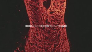 Новая осенняя коллекция ITALON: совсем скоро