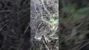 20250916_155817.mp4