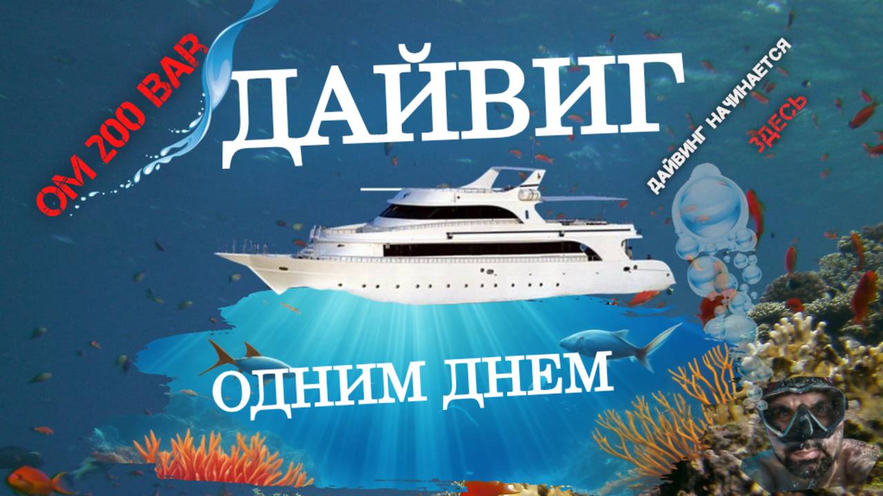 Дейли дайвинг. Обучение дайвингу. Дайвинг на Красном море. Лучшие места для дайвинга и приключений