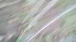 перестройка