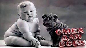 Милые и смешные собаки и песики - подборка видео ЮМОР СОБЧКИ песики СМЕХ