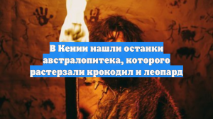 В Кении нашли останки австралопитека, которого растерзали крокодил и леопард