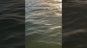 Отдыхаем на Бугазской косе. Сентябрь море вечером тёплое.